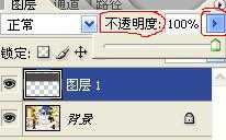 ‘Photoshop快速给照片添加半透明水印方法‘