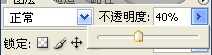 ‘Photoshop快速给照片添加半透明水印方法‘