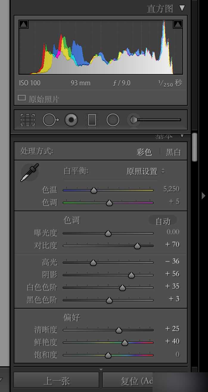 ‘PS给森林打造梦幻迷雾的风光照片‘