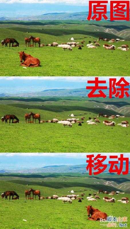 ‘ps内容识别快速移动(去除)物体方法图解‘