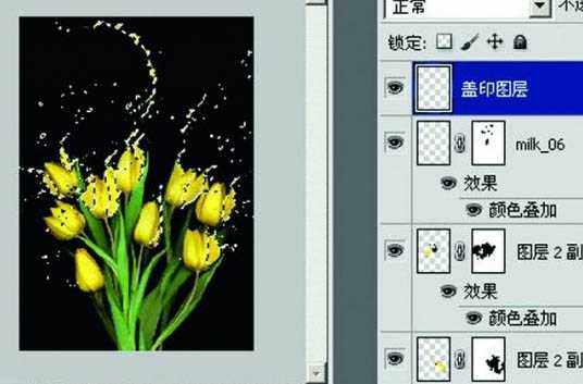 ‘photoshop合成动感的喷溅郁金香教程‘