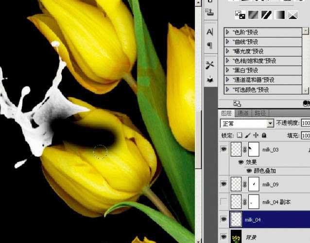 ‘photoshop合成动感的喷溅郁金香教程‘