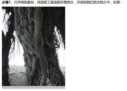 ‘PS合成魔法师瞬间摧毁大树的场景‘