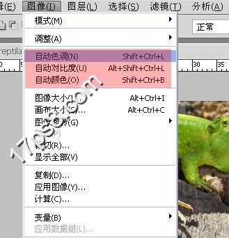 ‘photoshop将蜥蜴与河马合制成一种动物的效果‘