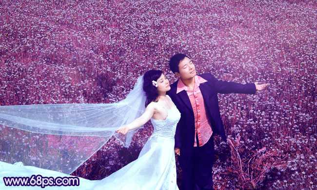 ‘Photoshop将草地婚片调制出柔美的蓝紫色‘
