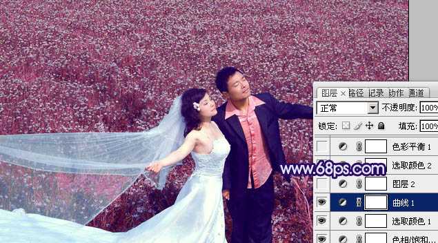‘Photoshop将草地婚片调制出柔美的蓝紫色‘
