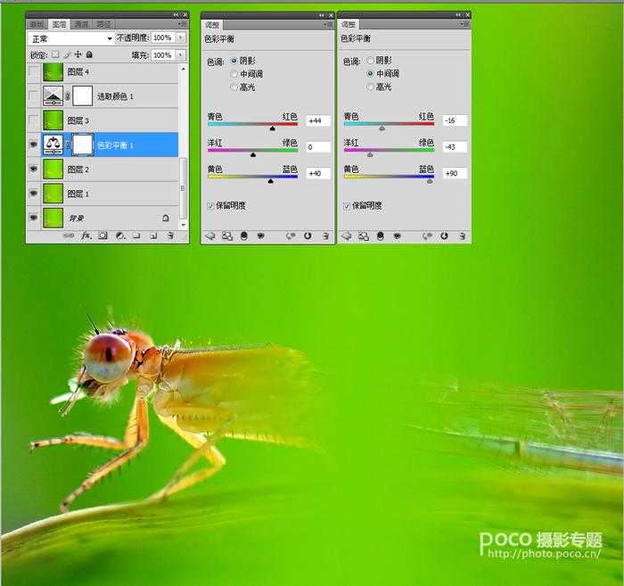 ‘PS教程之像美女一样精修你的虫片(豆娘的后期处理教程)‘