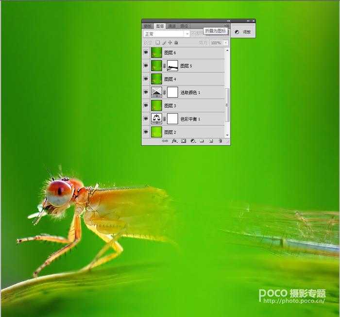 ‘PS教程之像美女一样精修你的虫片(豆娘的后期处理教程)‘