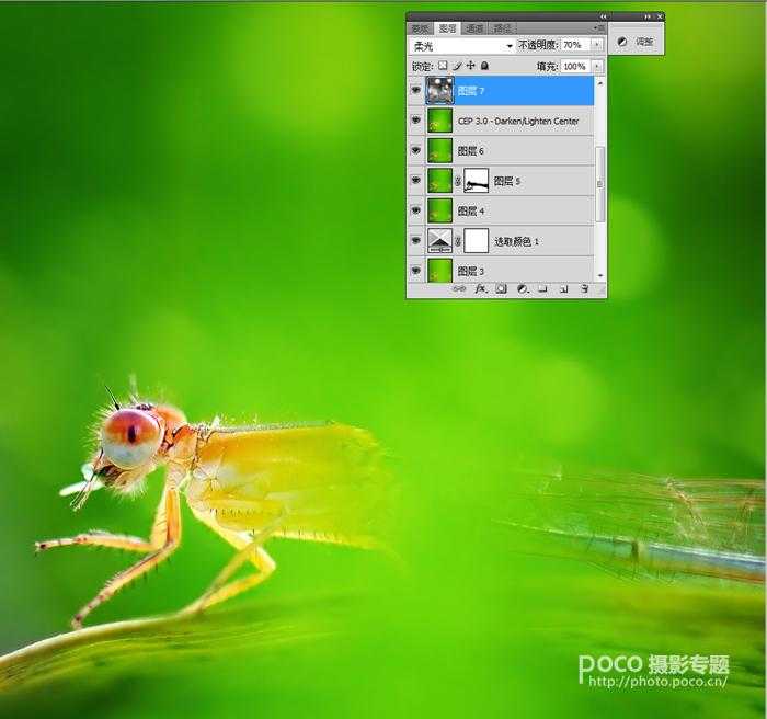 ‘PS教程之像美女一样精修你的虫片(豆娘的后期处理教程)‘