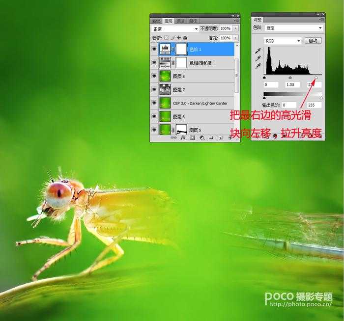 ‘PS教程之像美女一样精修你的虫片(豆娘的后期处理教程)‘