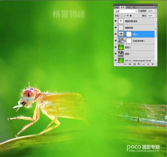 ‘PS教程之像美女一样精修你的虫片(豆娘的后期处理教程)‘