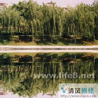 Fireworks效果之水波倒影[多图]图片2