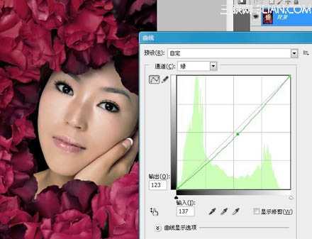 ‘Photoshop为玫瑰丛下美女调出写真效果‘