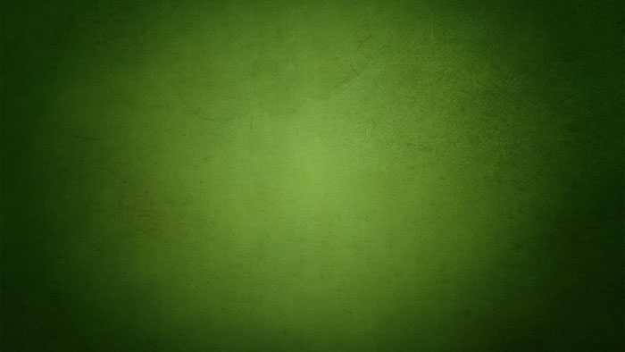 ‘PS利用画笔制作个性春季绿色毛茸茸藤蔓字‘