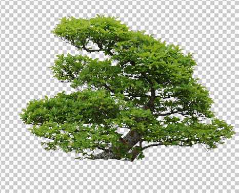 ‘photoshop合成抽象的绿色心脏海报‘