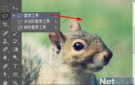 ‘photoshop中合成一个玄幻动物教程‘