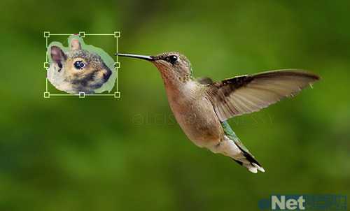 ‘photoshop中合成一个玄幻动物教程‘