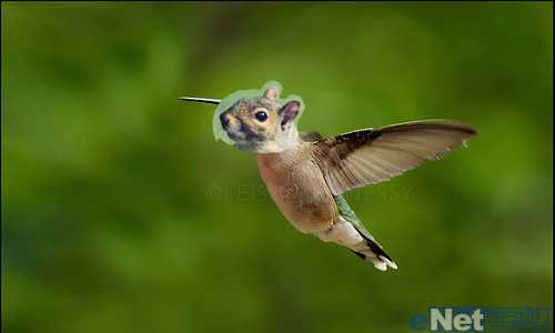 ‘photoshop中合成一个玄幻动物教程‘