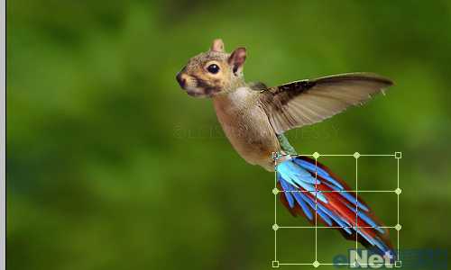 ‘photoshop中合成一个玄幻动物教程‘