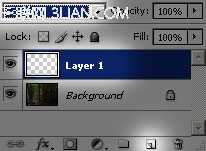 ‘photoshop快速将偏暗的森林图片打造迷人的霞光色‘