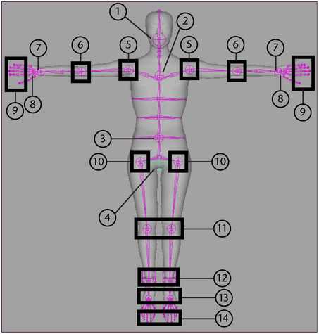 maya—fbik系统研究 脚本之家 maya动画教程