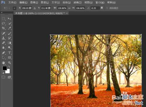‘ps制作以秋日树林为背景的闪动文字gif效果‘