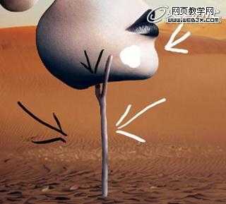 ‘Photoshop将图片合成制作出超现实的抽象艺术效果教程‘