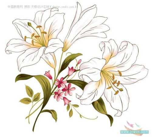 Photoshop自定义卷曲花纹笔刷_脚本之家转载教程