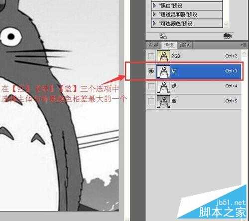 ‘PS利用通道快速去除图片背景‘