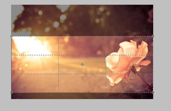 PS制作双流光动效签名教程 脚本之家 PS推荐教程 技术分享