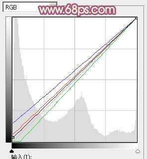 ‘Photoshop将躺草地上的美女打造出柔和的秋季红褐色‘