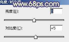 ‘Photoshop将外景情侣图片添加上灿烂的阳光色‘
