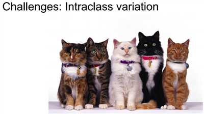 NewImage