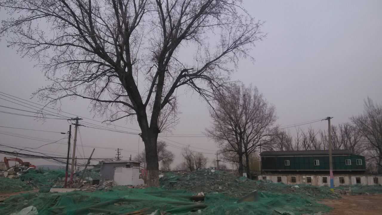 技术分享
