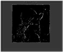 clip_image066