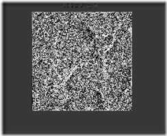 clip_image076