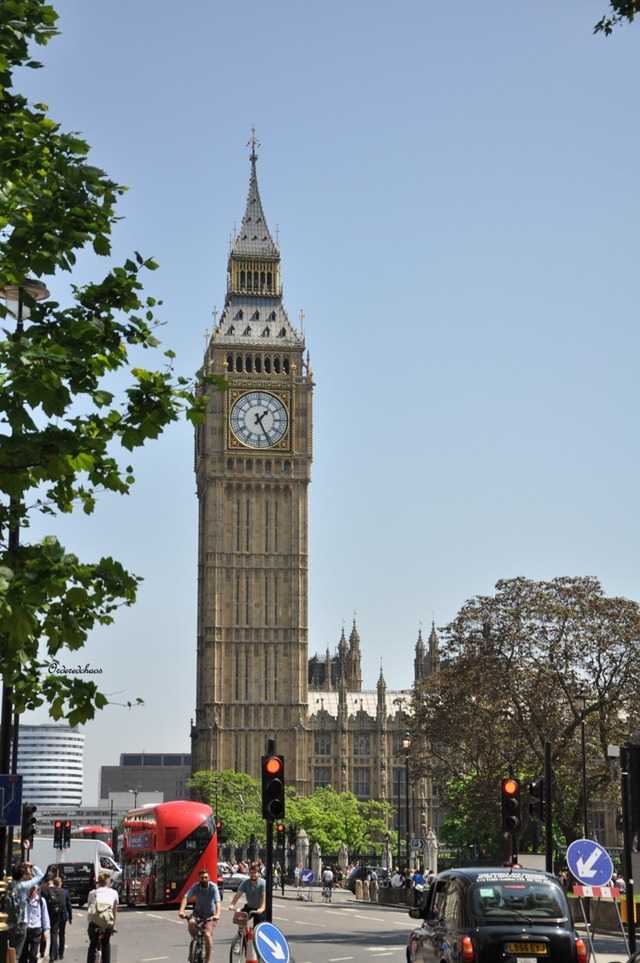 160609p1_DSC_0222