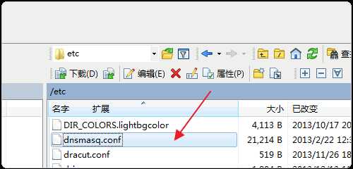 Dnsmasq配置文件