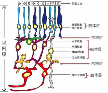 技术分享图片