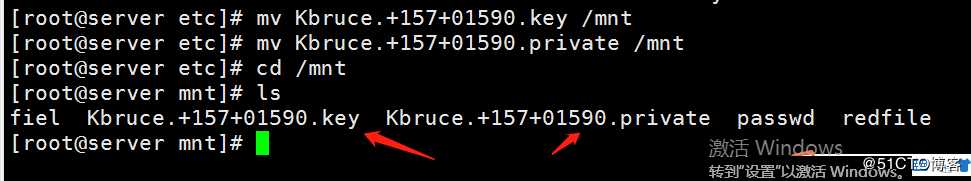 linux中DNS远程更新及加密远程更新