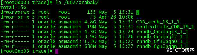 Migrating Oracle 18c To 19c