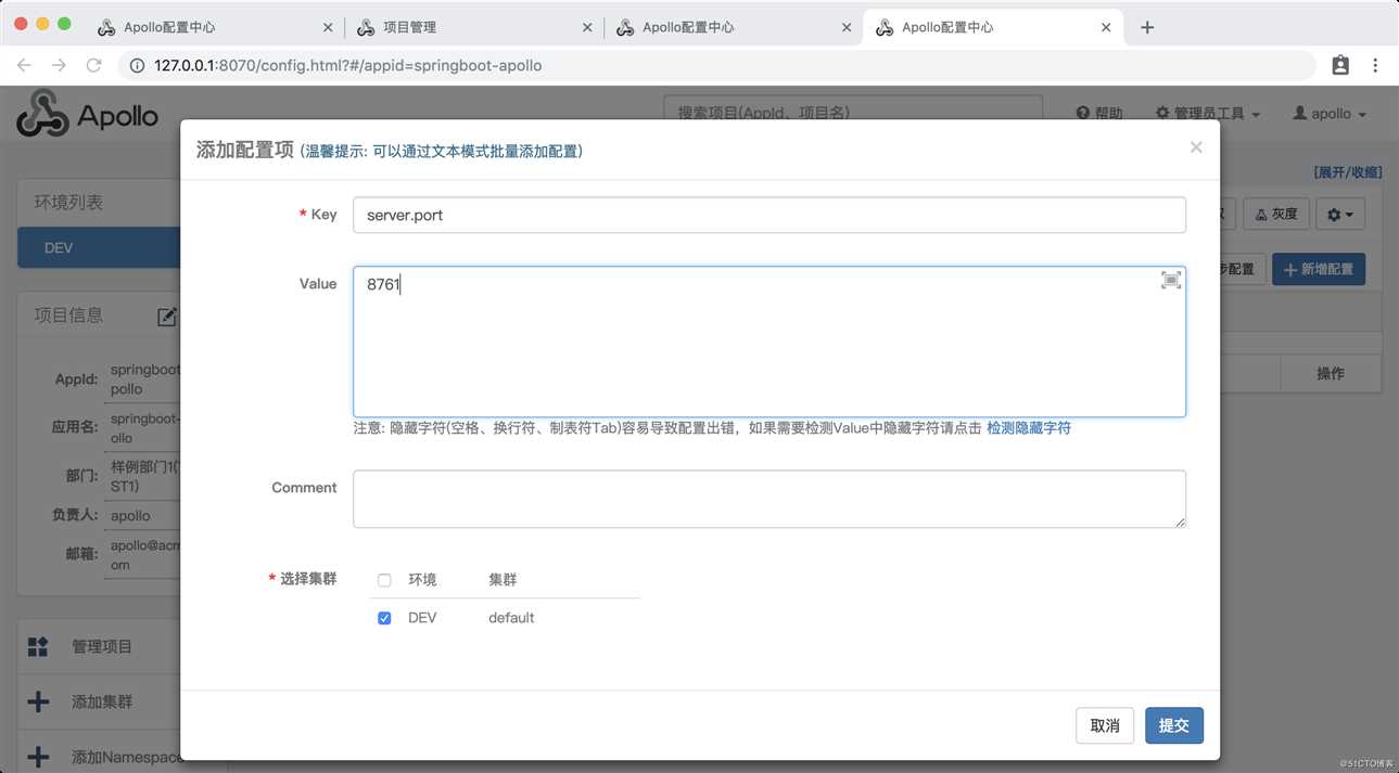 Spring Boot 整合 apollo