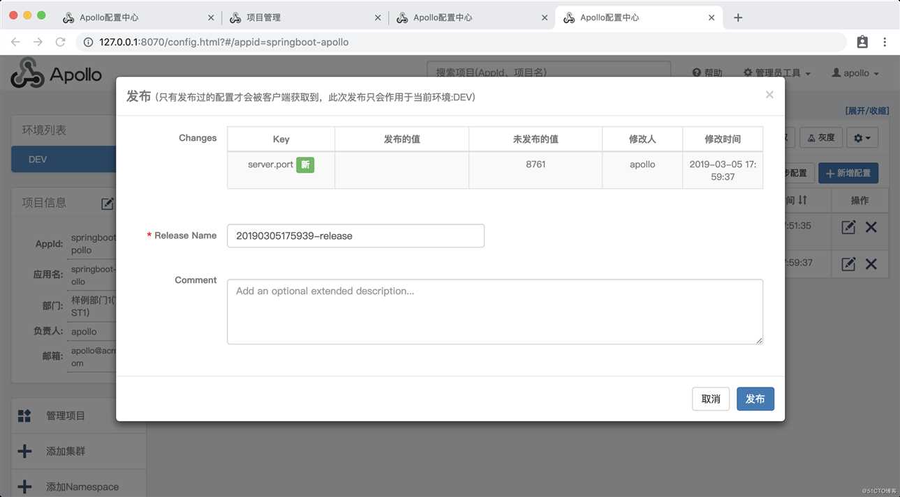 Spring Boot 整合 apollo