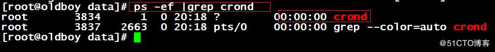 linux基础---定时任务crond