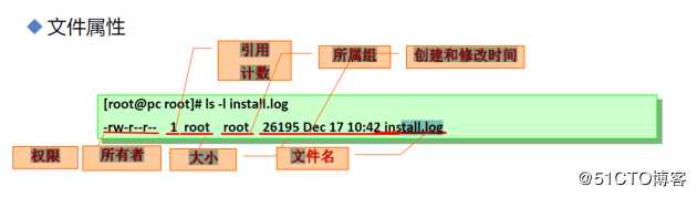 学习笔记-linux文件特殊基本权限基础