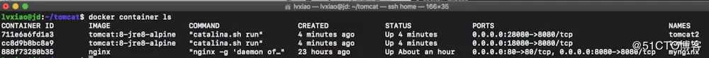 Docker部署Nginx、Tomcat集群