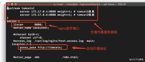 Docker部署Nginx、Tomcat集群