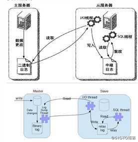 mysql学习-mysql8.0配置双主复制+keepalived实现高可用架构