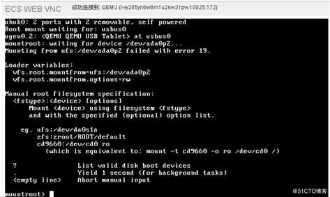 自定义FreeBSD12镜像拉起ECS报错后的处理过程