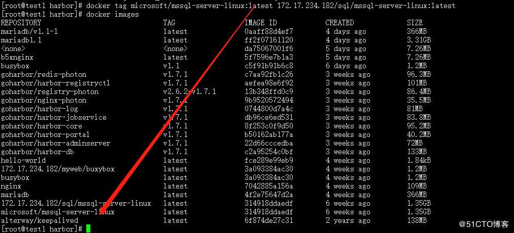 Docker搭建私有仓库（内网）